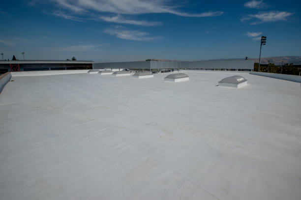 Best Green or Eco-Friendly Roofing Solutions  in USA